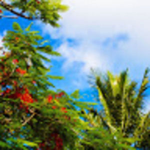 Meet your Posher, Serena